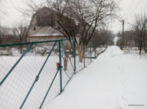 P61224-130154.jpg