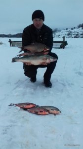 20161227_153448.jpg