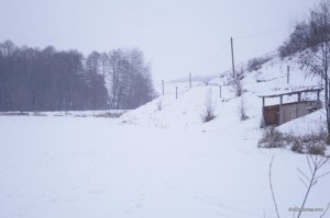 DSC07732.JPG