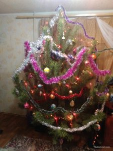 IMG_20161227_205028.jpg
