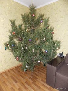 Изображение 015.jpg