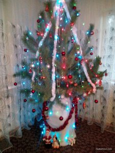 IMG_20161228_153035.jpg