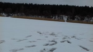 20161228_112409.jpg