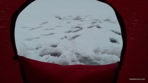 20161228_112419.jpg