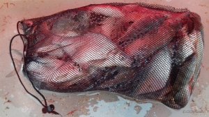 20161228_144119.jpg