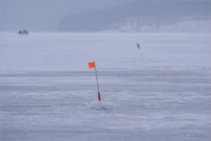 _MG_3760+.jpg