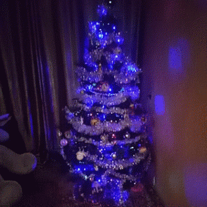 P61228-212915.gif