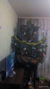 IMG_20161228_225321.jpg