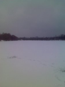 IMG065.jpg