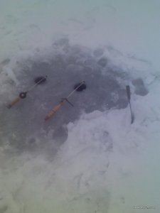 IMG068.jpg