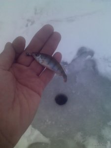 IMG070.jpg