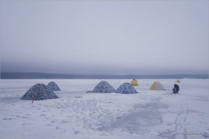 _MG_3838+.jpg