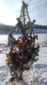 20161230_124519.jpg