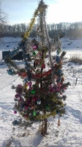 20161230_124458.jpg