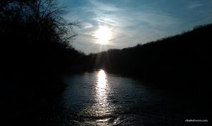 IMAG0178.jpg