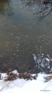 20161231_142051.jpg
