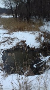 20161231_142514.jpg