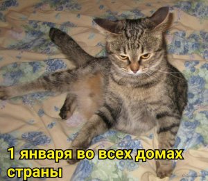 DGVqATAh9Gs.jpg