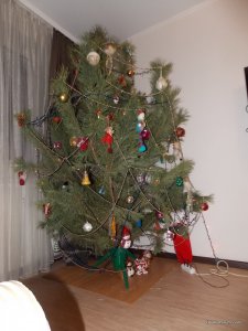 Изображение 017.jpg