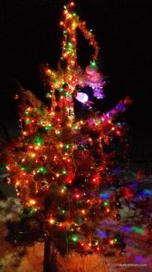 20161231_173658.jpg