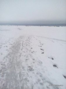 tmp-cam-1843336640.jpg