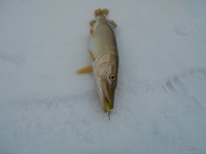 DSCN0370.JPG