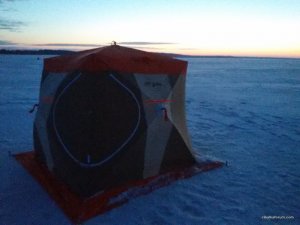 20170104_065322.jpg