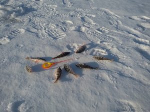 20170104_094525.jpg