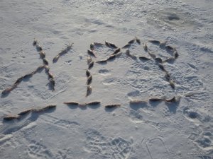 20170104_114959.jpg