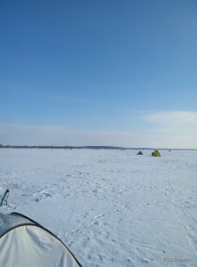 P70104-115612.jpg