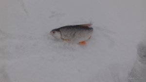 20170103_090620.jpg