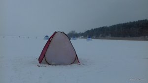 20170105_094311.jpg