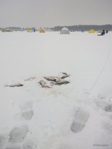 IMG_20170105_105713.jpg