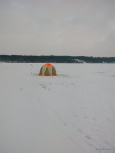 IMG_20170105_141109.jpg