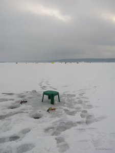IMG_20170105_141057.jpg