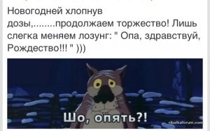 image (3).jpg