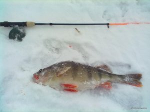 060120172526[1].jpg