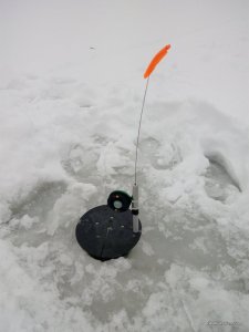 IMG_20170108_085753.jpg