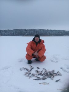 IMG_20170107_151538.jpg