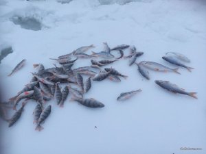 IMG_20170107_150432.jpg