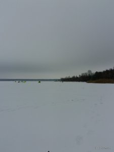 20170107_142121.jpg