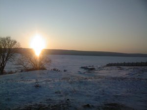 SP_A0738.jpg