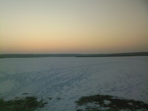 SP_A0770.jpg