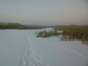 SP_A0776.jpg