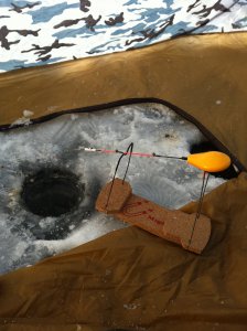 IMG_0208.jpg