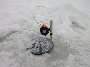 IMG_20170108_111126.jpg