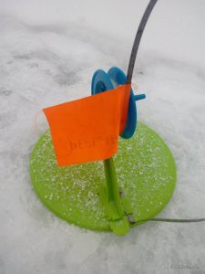 IMG_20170108_111043.jpg