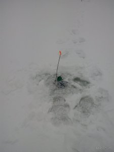 IMG_20170108_112416.jpg
