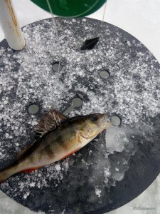 IMG_20170108_111722.jpg