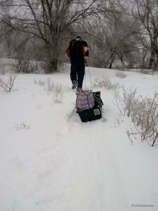 IMG_20170108_121828.jpg